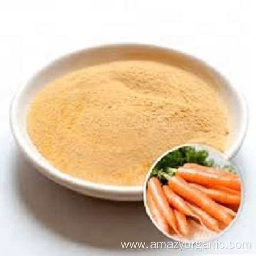 Pure Nature Organic Vegetable Powder Carrot Powder